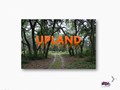 SLIDE 9